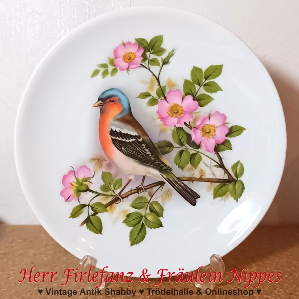 Hübscher alter Vintage Wandteller aus Porzellan mit Buchfink auf Kirschblüten (Vohenstrauss, Johann Seltmann)
