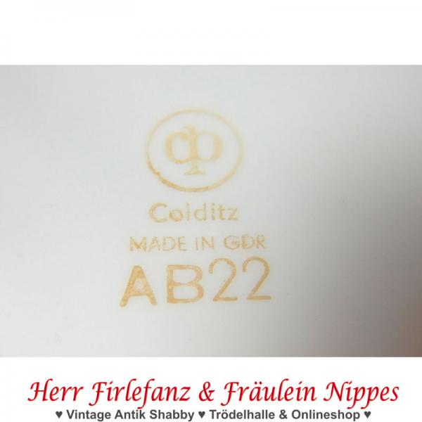 6 Kuchenteller mit Goldrand (Colditz AB22, DDR)